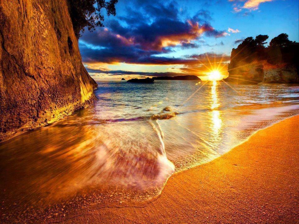 Cathedral Cove And Sunrise Apartment Hahei Luaran gambar